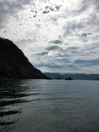 ボートジギング・エギング